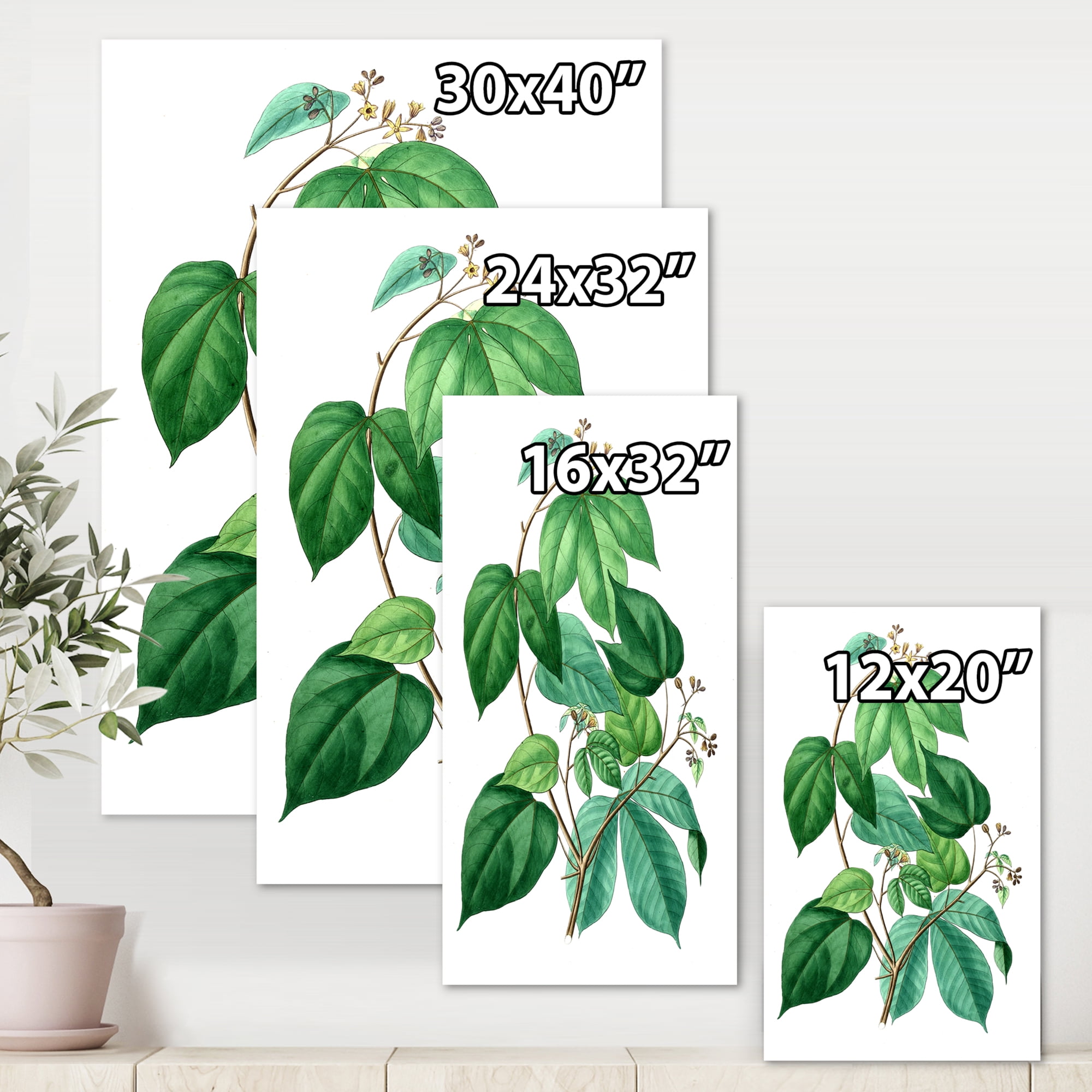 Designart ' Ancient Green Leaves Plants III ' Traditional Canvas Wall Art Print