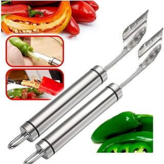 DIYOO Wireless Electric Fruit Vegetable Corer - Professional Core Remover  Tool with 2 Cutter Heads for Pineapple Zucchini, Squash, Tomato, Eggplant,  Potato, Veggie Drill 