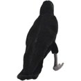 thumbnail image 2 of Peluche de peluche Hansa Black Crow 30 cm, 2 of 3
