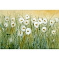 thumbnail image 3 of OToole, Tim 18x13 Black Modern Framed Museum Art Print Titled - Daisy Spring I, 3 of 5