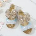 thumbnail image 5 of Dreamtale New Mary Jane Shoes Cosplay Elsa Anna Cinderella Princess Shoes for Kid Girls(Toddler and Little Kid), 5 of 5