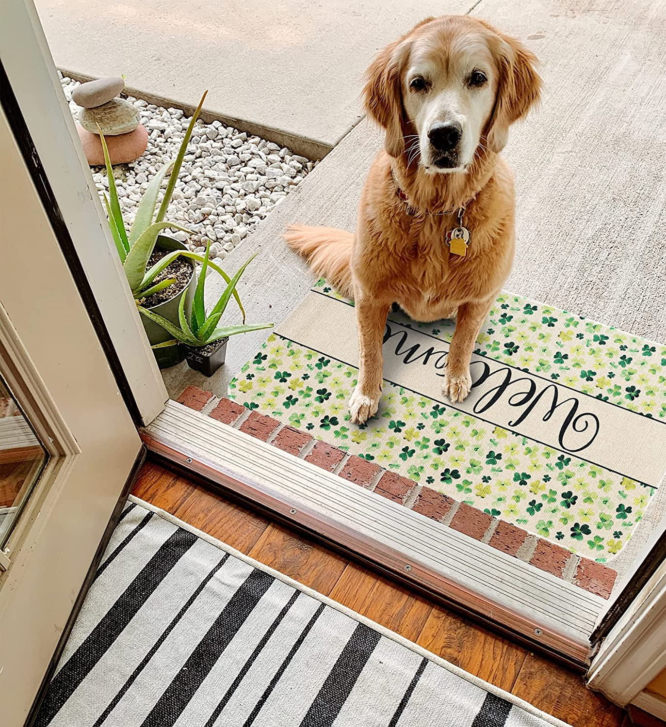 CVBN Floral Ultra Thin Door Mat- Indoor Door mats for Entryway- Washable  Non Slip Kitchen Rug- Outdoor Entrance Muddy Shoe Small Rug mats-Home