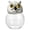 C, variant on Gothic Glass Witchy Frog Storage Jar, Kitchen Spice Container, Halloween Decor, Style C.