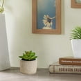 thumbnail image 4 of Bonsái suculentas de simulación, pequeños adornos creativos, macetas de cemento, plantas verdes artificiales, 2 uds., 4 of 5