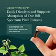 thumbnail image 6 of Gaia Herbs Adrenal Health Nightly Restore - Herbal Supplement with Ashwagandha, Magnolia Bark, Cordyceps, Lemon Balm & More* - 120 Vegan Liquid Phyto-Caps (60 Servings), 6 of 9