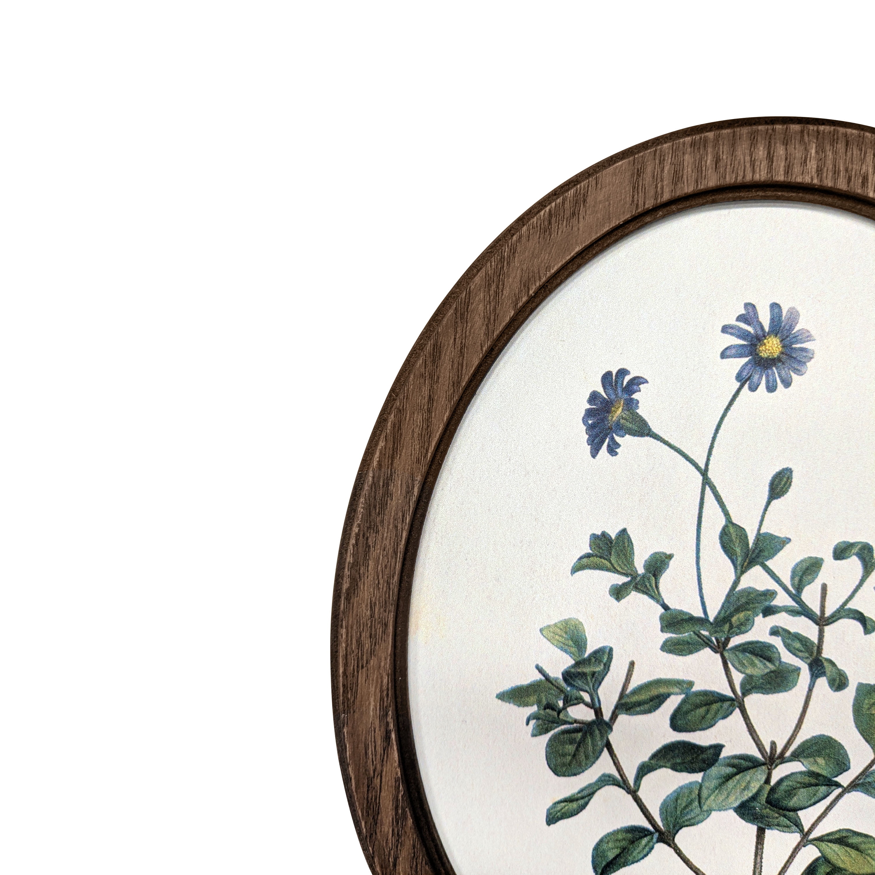 Bradley & Ballard Heirloom Botanical Oval Framed Wall Art Set, 2 Pieces, 8x10 Inches