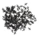 thumbnail image 2 of 200pcs Juguete de Simulación de Plásticas de Hormigas Colecciones de Exhibición Hugo Insecto Animal Figura Juguete, 2 of 7