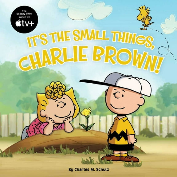 Peanuts It's the Small Things, Charlie Brown!, (Paperback)