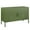 atrovirens, variant on 39.37''W Metal Cabinets,TV Stand,Storage Lockers,Entryway Cabinet with Storage,Metal Storage Cabinet for Bedroom,Living Room,Green