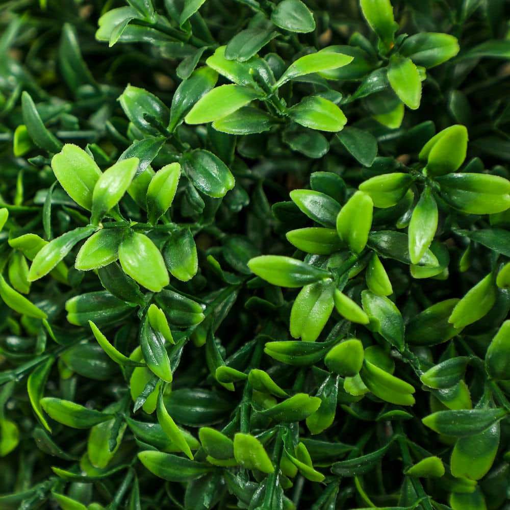 Yardi Yarda 36 Inch High Artificial Ball Boxwood Topiary Trees Set of 2, Fake Plants in Pot for Indoor, Green