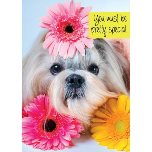 You Must Be Pretty Special Birthday Greeting Card