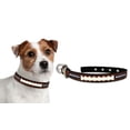 thumbnail image 1 of Collier pour Chien Baltimore Ravens - Petit, 1 of 1