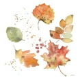 thumbnail image 3 of Pete, Katrina 15x15 Black Modern Framed Museum Art Print Titled - Falling Leaves I, 3 of 5