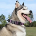 thumbnail image 3 of Heavy Duty Dog Collar, Adjustable Nylon Collar with Quick Release Buckle for Small Medium Large Dogs Walking Training, 3 of 9