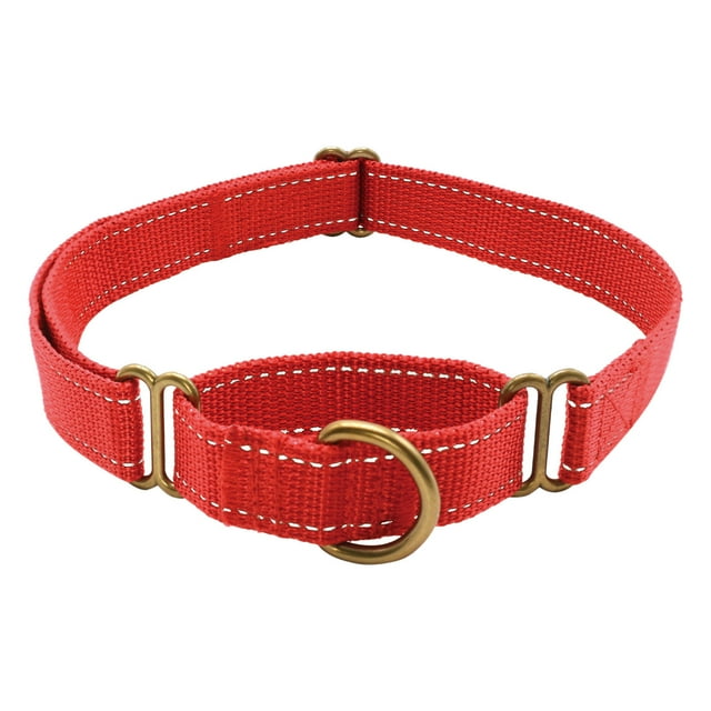 Colliers pour Chiens Sans Boucle Matériau en Nylon Robuste Réglable 7-17 Pouces Bleu Foncé pour Petits Chiots Entraînement Service Chiens