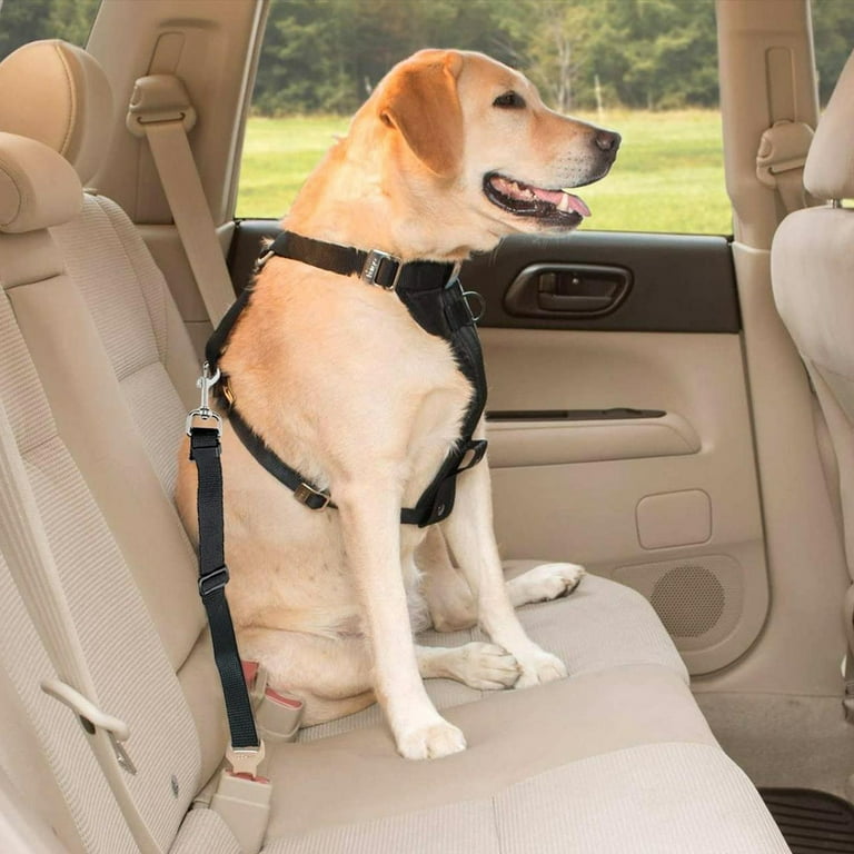 6 Best Dog Seat Belts for 2020 - Dog Safety Harnesses
