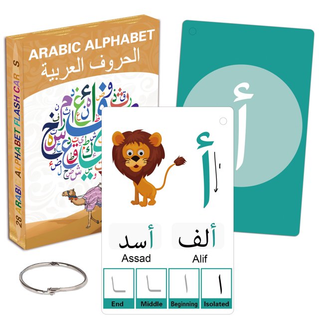 Yiydong Tarjetas Flash Árabes para Principiantes Aprenda El Alfabeto Árabe para Niños, Adolescentes Y Adultos, Recurso Educativo De Aprendizaje De Idiomas para La Escuela Primaria, Aula, Suministros p