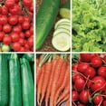 thumbnail image 4 of Ferry-Morse Easy-to-Grow Heirloom Vegetable Seed Variety Pack - Annual - 6 Pack - Heirloom Seeds Non Gmo Organic, 4 of 5