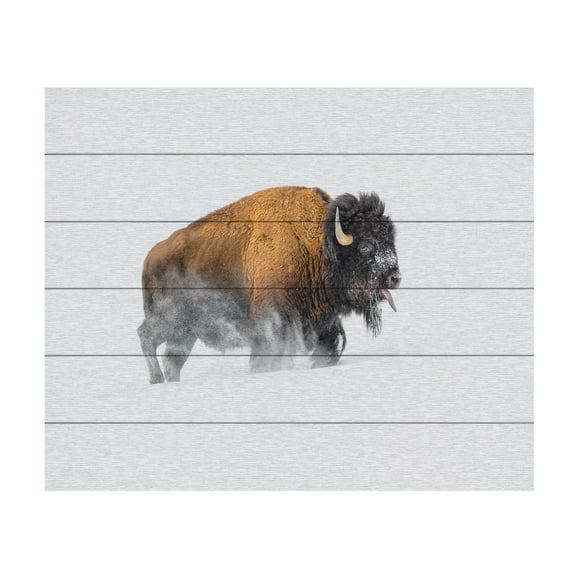 Debbie Hunt 'Bison In The Snow' Wood Slat Art 18x22