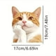 thumbnail image 3 of Cute Orange Stickers Car Stickers Window Stickers, 3 of 6