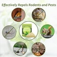 10 Pack Rodent Repellent Deter Mice and Rats with Mint and Peppermint