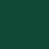 COLORSHOT Satin Spray Paint, Kale (Dark Green), 10 oz, Fast-Drying Acrylic Paint, Indoor & Outdoor Use