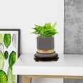 thumbnail image 2 of Support de Pot de Fleurs Rond pour Plantes et Vases d'Intérieur 8.25x8.25x1.77 Po, 2 of 8