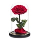 thumbnail image 1 of Base de cubierta de cristal con rosas decorativas de flores eternas con luces, regalos navideños, regalos de cumpleaños para amigos y familiares, 1 of 5