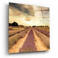 thumbnail image 2 of Epic Art 'Lavender Fields Forever' by Keri Bevan, Acrylic Glass Wall Art, 12"x12", 2 of 8
