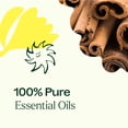 thumbnail image 5 of Plant Therapy Germ Fighter Essential Oil Blend 100% Pure, Undiluted, Natural Aromatherapy 100 mL (3.3 fl oz), 5 of 9