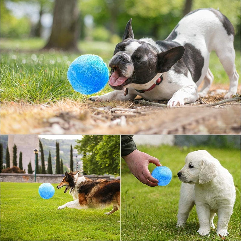automatic rolling ball dog toy