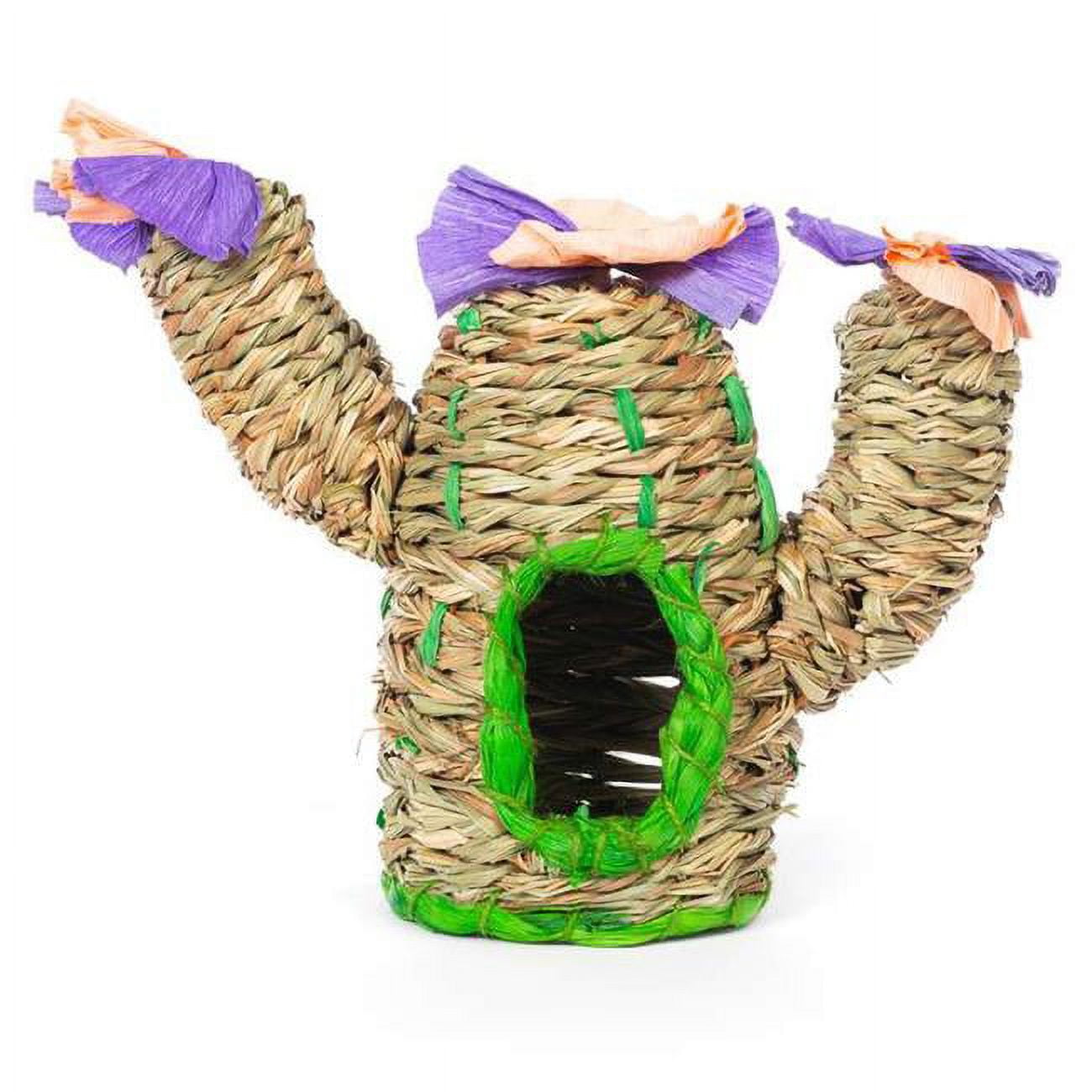 Prevue Pet Products 480450 Saguaro Hideaway - Medium