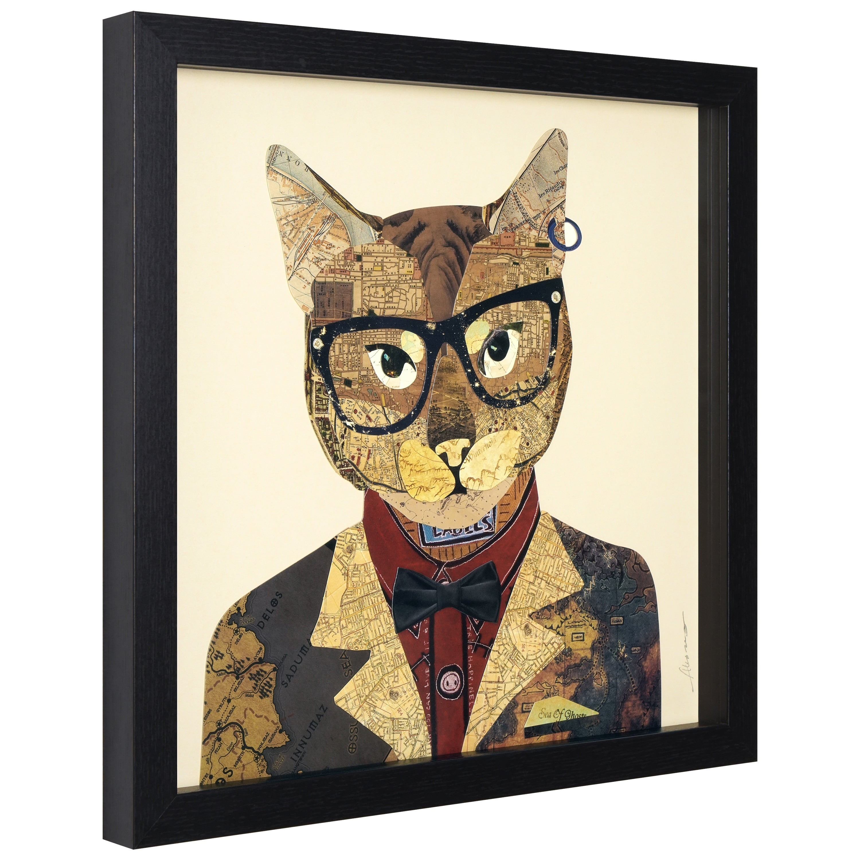 Empire Art Direct Funky Cat 2 Dimensional Collage Framed Graphic Art Under Glass Wall Art, 17" x 17" x 1.4", Ready to Hang