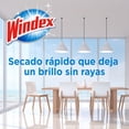 thumbnail image 5 of Limpiador líquido Windex original para vidrios y superficies 500 ml, 5 of 5