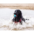 thumbnail image 4 of Pelotas Amphibious Chuckit Set de 3 para Perros Medianos, 4 of 6