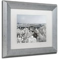 thumbnail image 2 of Trademark Fine Art "White Nature" Canvas Art by Philippe Hugonnard, White Matte, Silver Frame, 2 of 4