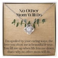 thumbnail image 2 of No Other Mom Will Do Necklace, Gift for Mother Necklace for Women, Adults Size, 2 of 3