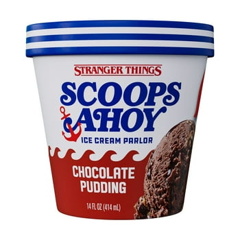 Scoops Ahoy Chocolate Pudding Ice Cream Pint 14oz Stranger Things Netflix