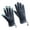 Blue, variant on Waterproof Cold Weather Gloves Screentouch Antislip Silicone Palms Grip Handwear