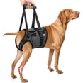 thumbnail image 1 of Arnés de soporte para patas traseras SlowTon Dog para perros medianos y grandes, 1 of 7