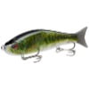 Largemouth Bass