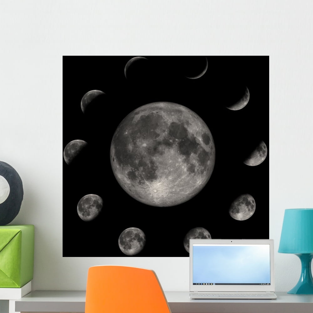 Moon Phases Wall Mural by Wallmonkeys Peel and Stick Graphic (24 in W x ...