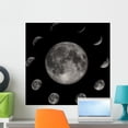 thumbnail image 1 of Moon Phases Wall Mural by Wallmonkeys Peel and Stick Graphic (24 in W x 24 in H) WM153142, 1 of 4