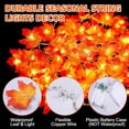 thumbnail image 2 of MAMOWEAR Thanksgiving Fall Maple Leaf String Lights Indoor Outdoor, 10 FT 20 LED Battery Powered Fairy Fall Decor Lights for Room Wedding Party Home Fireplace Decorations, 2 of 6