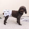 thumbnail image 3 of CSChome Dog Physiological Pants Dog Physiological Pants Cartoon Panda Print Breathable Fastener Adjustable Tale Hole Leakproof Strong Absorbing Pet Diaper, 3 of 6