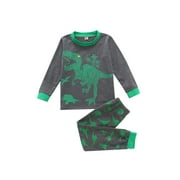 Nokpsedcb Toddler Baby Boy 2PCS Fall Winter Clothes Set Dinosaur Print Sweatsuit Sleepwear Outfits Gray 3-4 Years