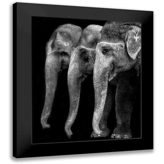 Depaepe, Yvette 15x17 Black Modern Framed Museum Art Print Titled - Natures great masterpiece an elephant; the only harmless great thing