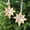 B, variant on Matoen Golden Shiny Acrylic Star Ornament with Gemstones, Christmas Tree Pendant for Holiday Party Decorations