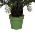 thumbnail image 3 of Faux 3ft Cycas Palm, 3 of 3