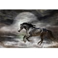 thumbnail image 1 of Cavalaris "Wild As The Sea" Wall Decal, 1 of 2